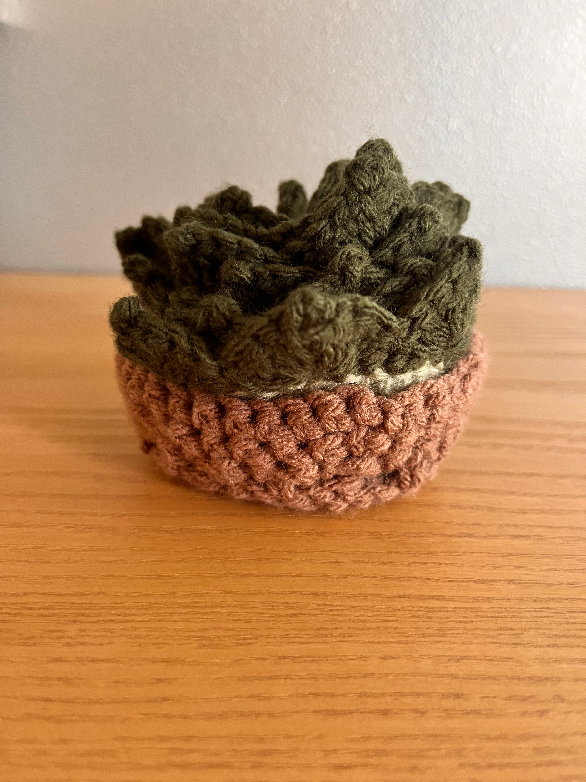 Plant Coasters — arrangement